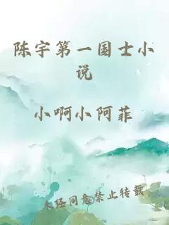 陳宇第一國士小說(shuō)