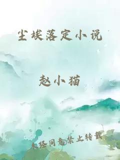 塵埃落定小說(shuō)