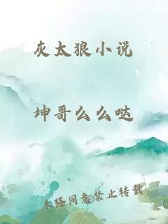 灰太狼小說(shuō)