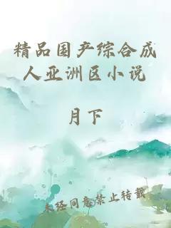 精品國產(chǎn)綜合成人亞洲區小說(shuō)