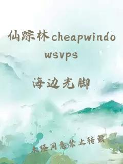 仙蹤林cheapwindowsvps