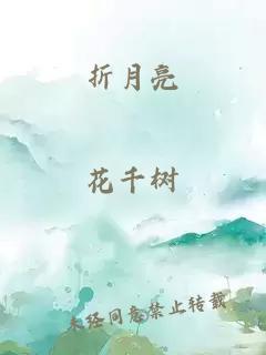折月亮