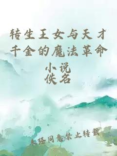 轉生王女與天才千金的魔法革命小說(shuō)