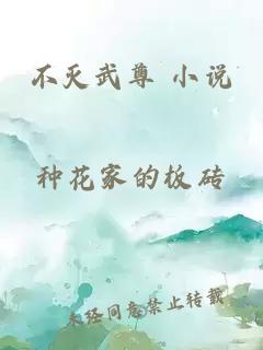不滅武尊 小說(shuō)