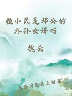 賴(lài)小民是鄧公的外孫女婿嗎