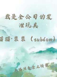 我是全公司的發(fā)泄玩具