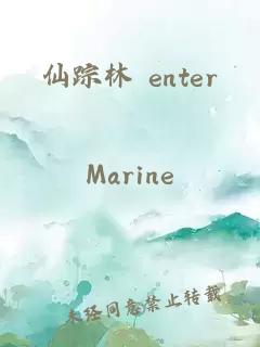 仙蹤林 enter