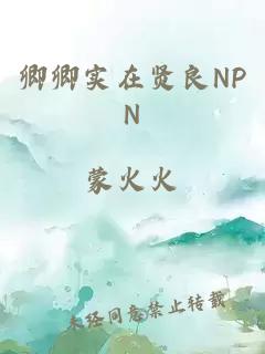 卿卿實(shí)在賢良NPN