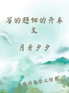 寫(xiě)的超細的開(kāi)車(chē)文