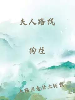 夫人路線(xiàn)