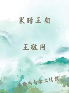 黑暗王朝