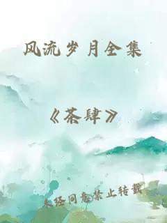 風(fēng)流歲月全集