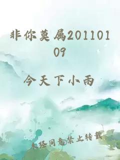 非你莫屬20110109