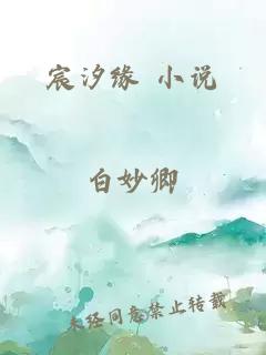 宸汐緣 小說(shuō)