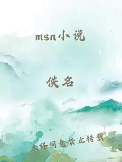 msn小說(shuō)