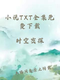 小說(shuō)TXT全集免費下載