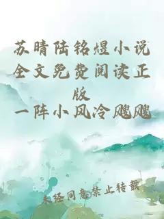 蘇晴陸銘煜小說(shuō)全文免費閱讀正版