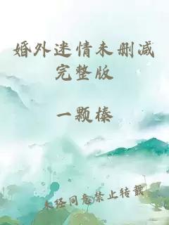 婚外迷情未刪減完整版