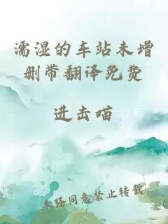 濡濕的車(chē)站未增刪帶翻譯免費