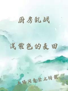 廚房亂戰