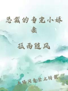 總裁的專(zhuān)寵小嬌妻