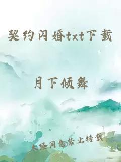 契約閃婚txt下載