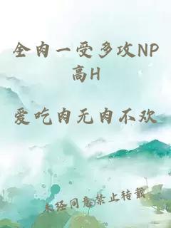 全肉一受多攻NP高H