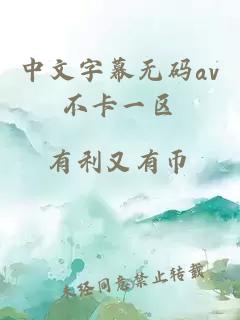 中文字幕無(wú)碼av不卡一區