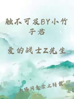 觸不可及BY小竹子君