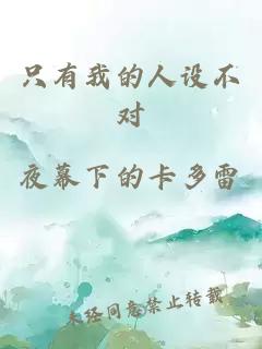 只有我的人設不對