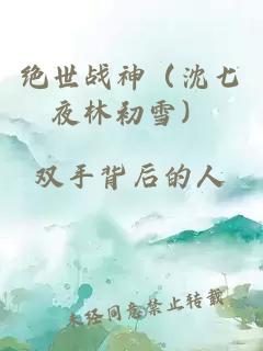 絕世戰神（沈七夜林初雪）
