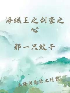 海賊王之劍豪之心