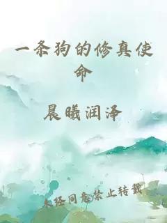 一條狗的修真使命
