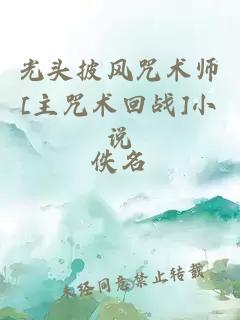 光頭披風(fēng)咒術(shù)師[主咒術(shù)回戰]小說(shuō)