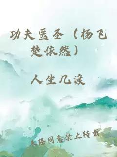 功夫醫圣（楊飛楚依然）