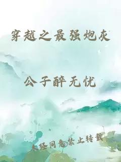 穿越之最強炮灰