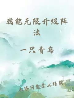 我能無(wú)限升級陣法