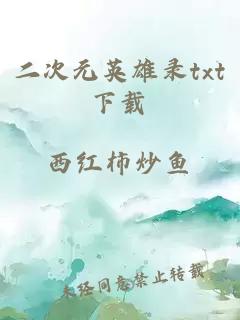 二次元英雄錄txt下載