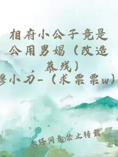相府小公子竟是公用男娼（改造，慕殘）