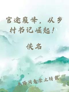 官途巔峰，從鄉村書(shū)記崛起！