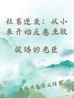 社畜逆襲：從小米開(kāi)始反卷互聯(lián)