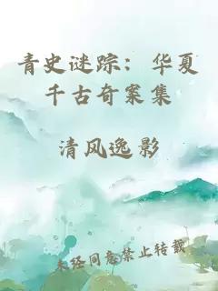 青史謎蹤：華夏千古奇案集
