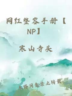 網(wǎng)紅整容手冊【NP】