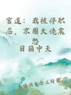 官道：我被停職后，京圈大佬震怒