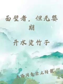 面壁者，但元嬰期