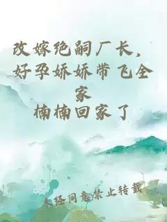 改嫁絕嗣廠(chǎng)長(cháng)，好孕嬌嬌帶飛全家