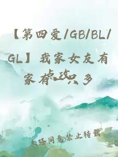 極品維修工