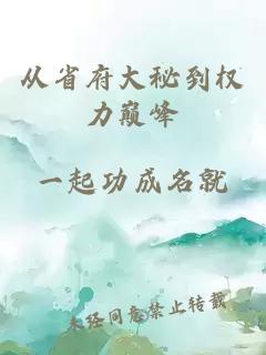 從省府大秘到權力巔峰