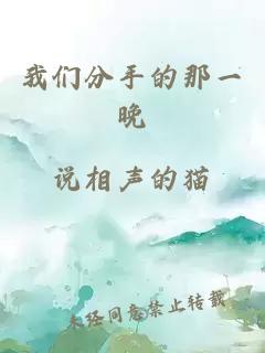 我們分手的那一晚