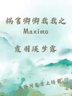 禍害卿卿我我之Maximo